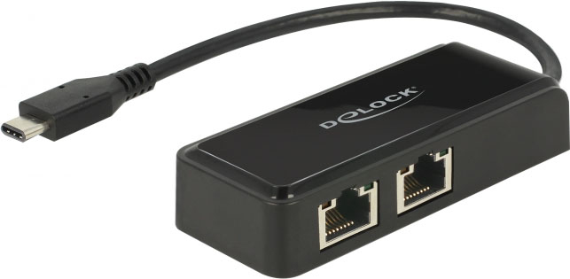 Delock Adapter USB-C 3.1 Gen 1 > 2 x Gigabit LAN 10/100/1000 Mb/s - Netzwerkadapter - USB 3.1 Gen 1 - Gigabit Ethernet x 2