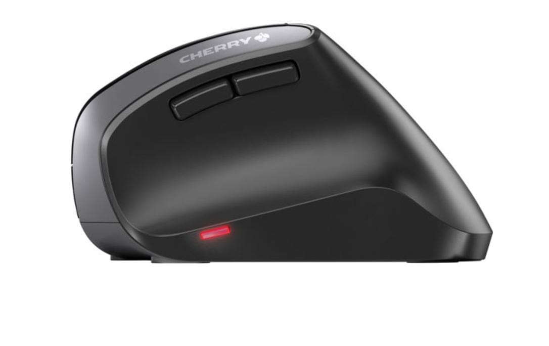 CHERRY MW 4500 - Maus - 2.4 GHz - Schwarz