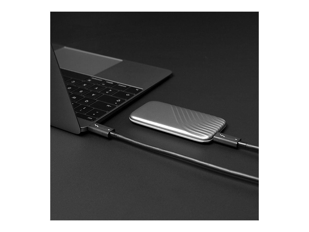 Lindy - Thunderbolt-Kabel - 24 pin USB-C (M) zu 24 pin USB-C (M) - Thunderbolt 4 - 20 V - 5 A - 2 m - USB-Stromversorgung (100 W), 8K Unterstützung, dual 4K60Hz support, aktiv - Schwarz