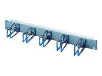 Rittal TS IT - Kabelmanagement - 1U