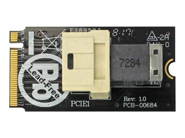 Delock Adapter M.2 Key M > SFF-8643 NVMe horizontal 2242 - Schnittstellenadapter - U.2 NVMe - M.2 Card