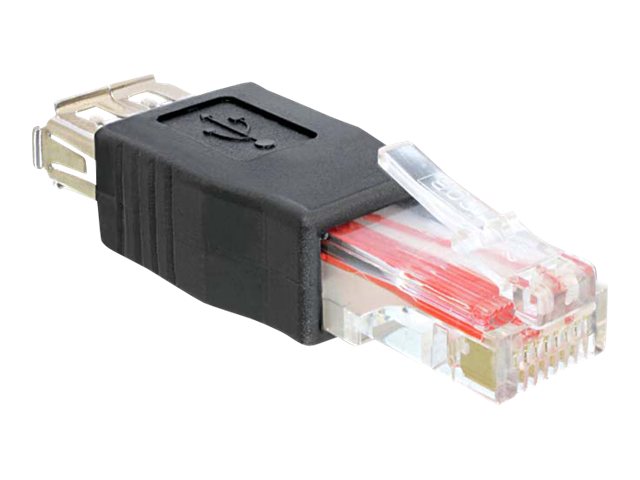 Delock - USB-Adapter - RJ-45 zu USB