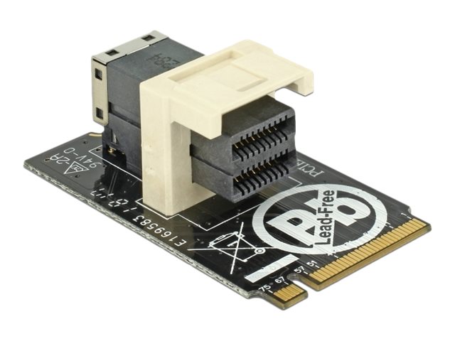 Delock Adapter M.2 Key M > SFF-8643 NVMe horizontal 2242 - Schnittstellenadapter - U.2 NVMe - M.2 Card