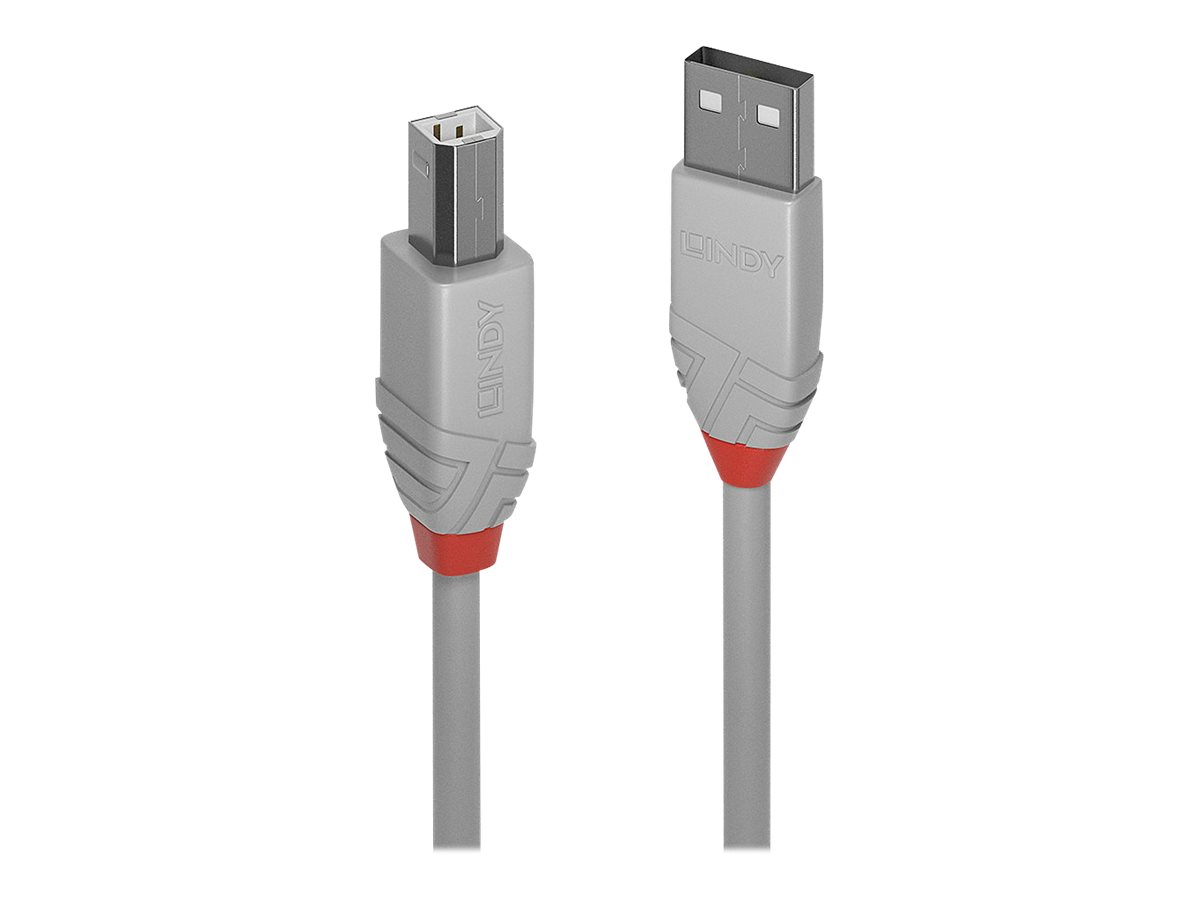 Lindy Anthra Line - USB-Kabel - USB (M) zu USB Typ B (M) - USB 2.0 - 3 m - rund - Grau