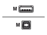 LogiLink - USB-Kabel - USB (M) zu USB Typ B (M) - USB 2.0 - 5 m