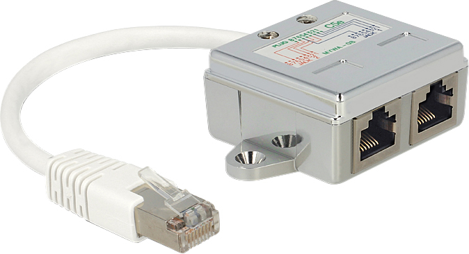 Delock RJ45 Port Doubler - Ethernet 100Base-TX-Splitter - 15 cm