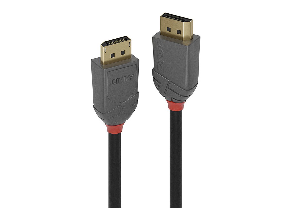 Lindy Anthra Line - DisplayPort-Kabel - DisplayPort (M) zu DisplayPort (M) - DisplayPort 1.4 - 2 m - rund - Schwarz