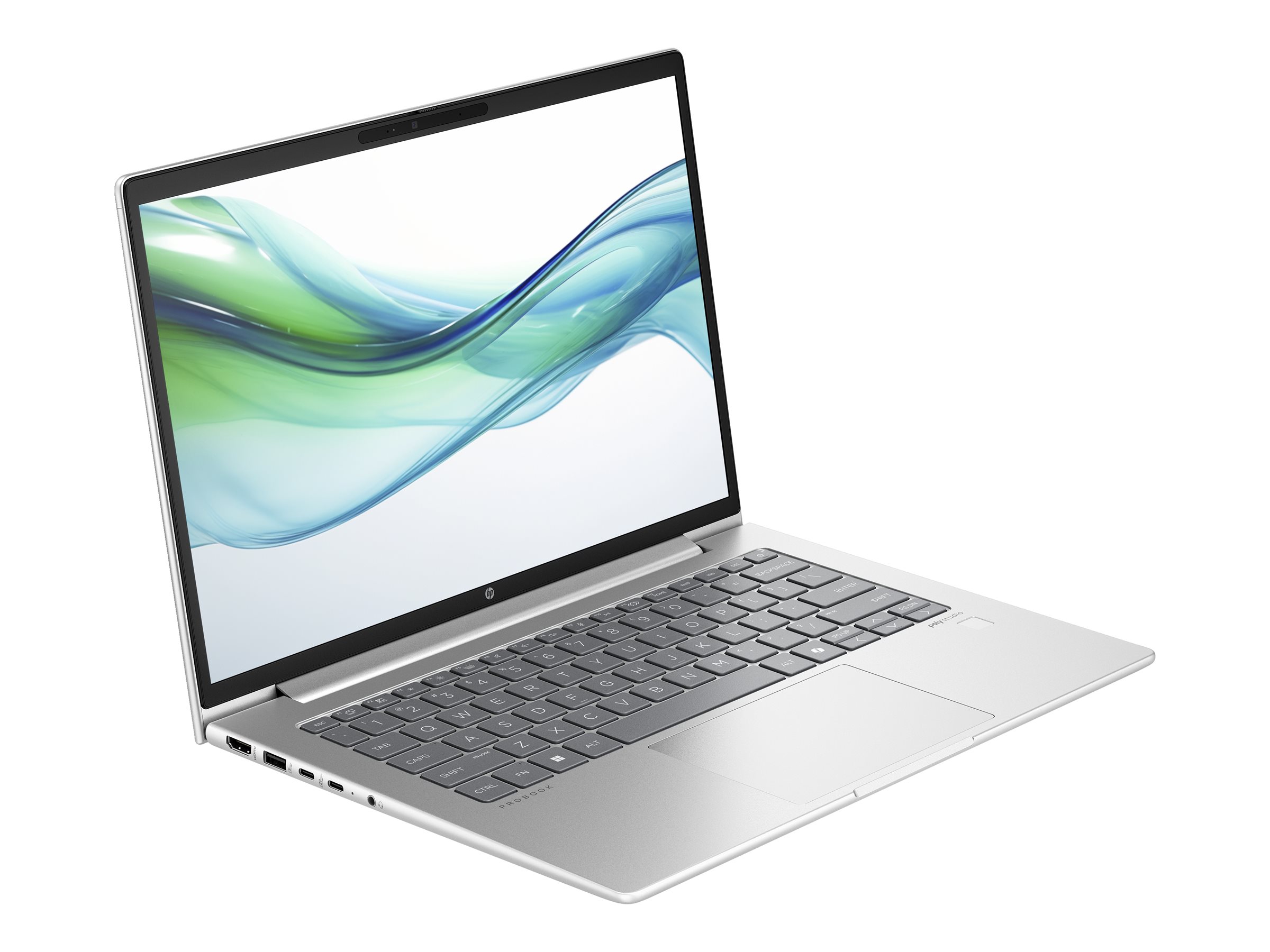 HP ProBook 440 G11 Notebook - 35.6 cm (14") - Core Ultra 5 125U - 16 GB RAM - 512 GB SSD - Deutsch - mit HP Wolf Pro Security Edition (1 Jahr)