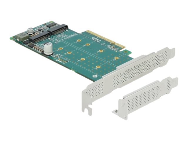 Delock PCI Express x8 Card to 2 x internal NVMe M.2 Key M - Bifurcation - Speicher-Controller - M.2 NVMe Card - PCIe 4.0 x8