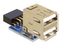 Delock - USB-Adapter USB